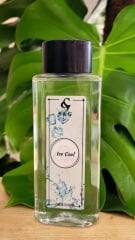 ICE COOL BUZ FERAHLIĞI KOLONYASI PET ŞİŞE 200 ml