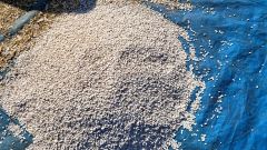 Doğal Organik Kuru Fasulye-1 kg