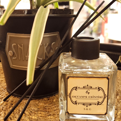 S&G ÇUBUKLU ORTAM KOKUSU OKYANUS ESİNTİSİ 100 ML