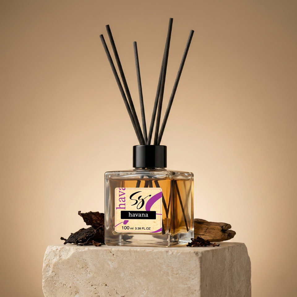 S&G ÇUBUKLU ORTAM KOKUSU HAVANA 100 ML