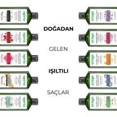 Agarta Doğal Şampuan Yağlı Saç Bakımı İçin 400 ml